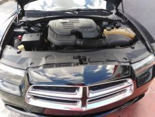 Dodge
