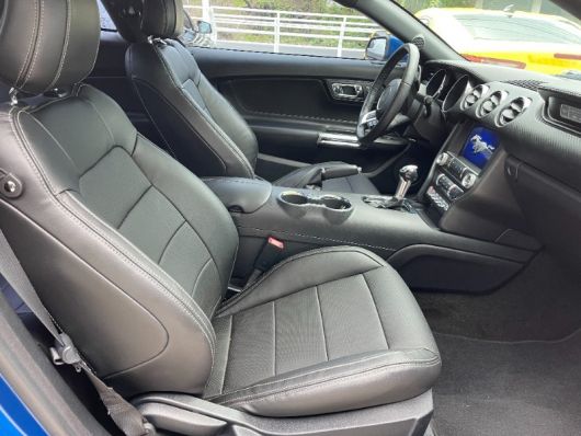 Ford Mustang Premium PKG