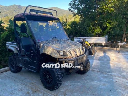 Yamaha Wolverine Motores en venta