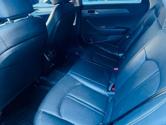 Hyundai Sonata New Rise