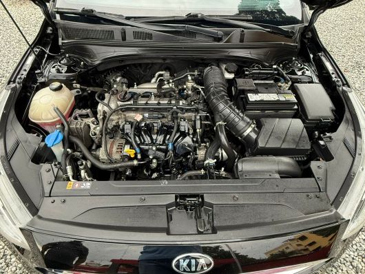 Kia Forte GT