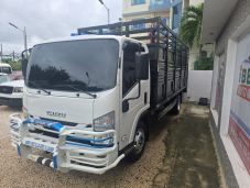 Isuzu