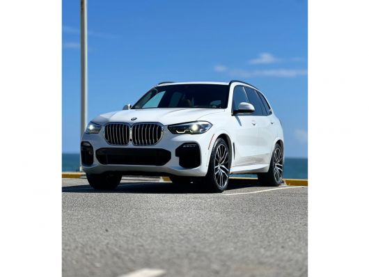 BMW Serie X X5 sDrive 40i en venta