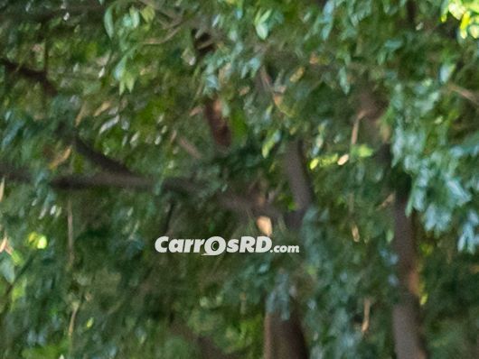 Toyota RAV4 Jeepeta en venta