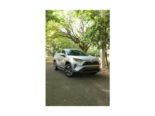 Toyota RAV4 LE en venta