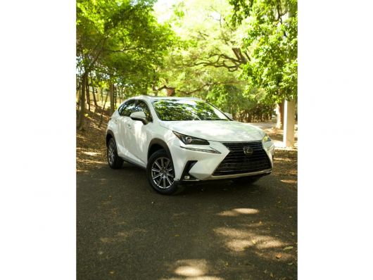 Lexus NX 300 en venta