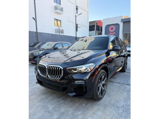 BMW Serie X 5 xDrive 40i M en venta