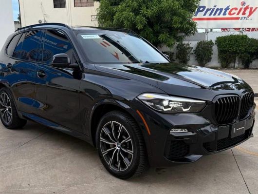 BMW Serie X 5 xDrive 40i M en venta