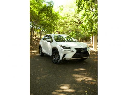Lexus NX 300 en venta
