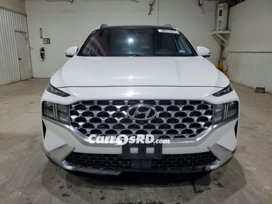 Hyundai Santa Fe Jeep en venta