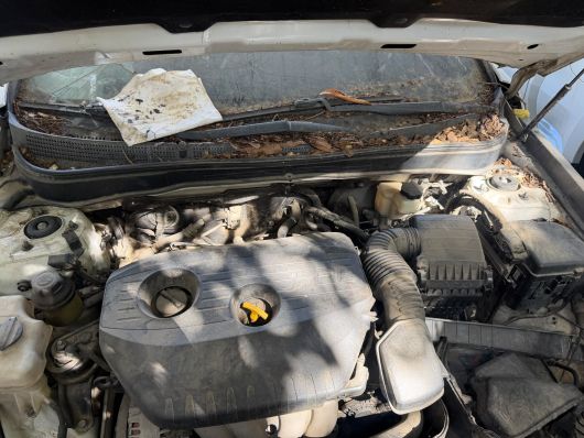 Hyundai Sonata Y-20